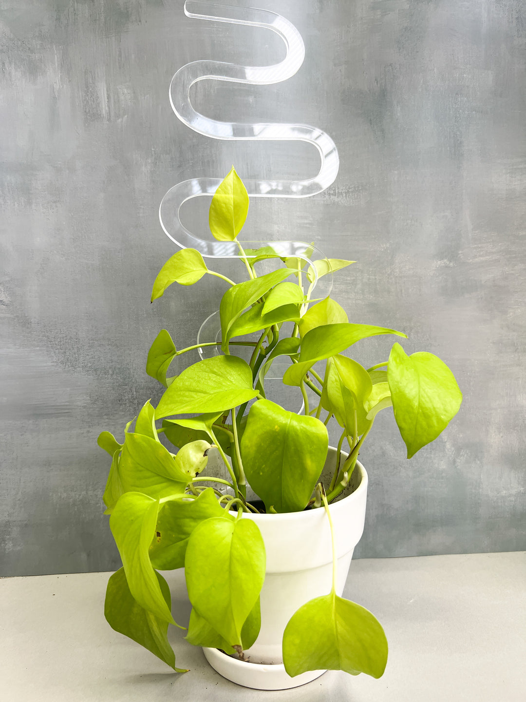 potted plant stakes Arka Sway XL Plant Stake Glowing Green