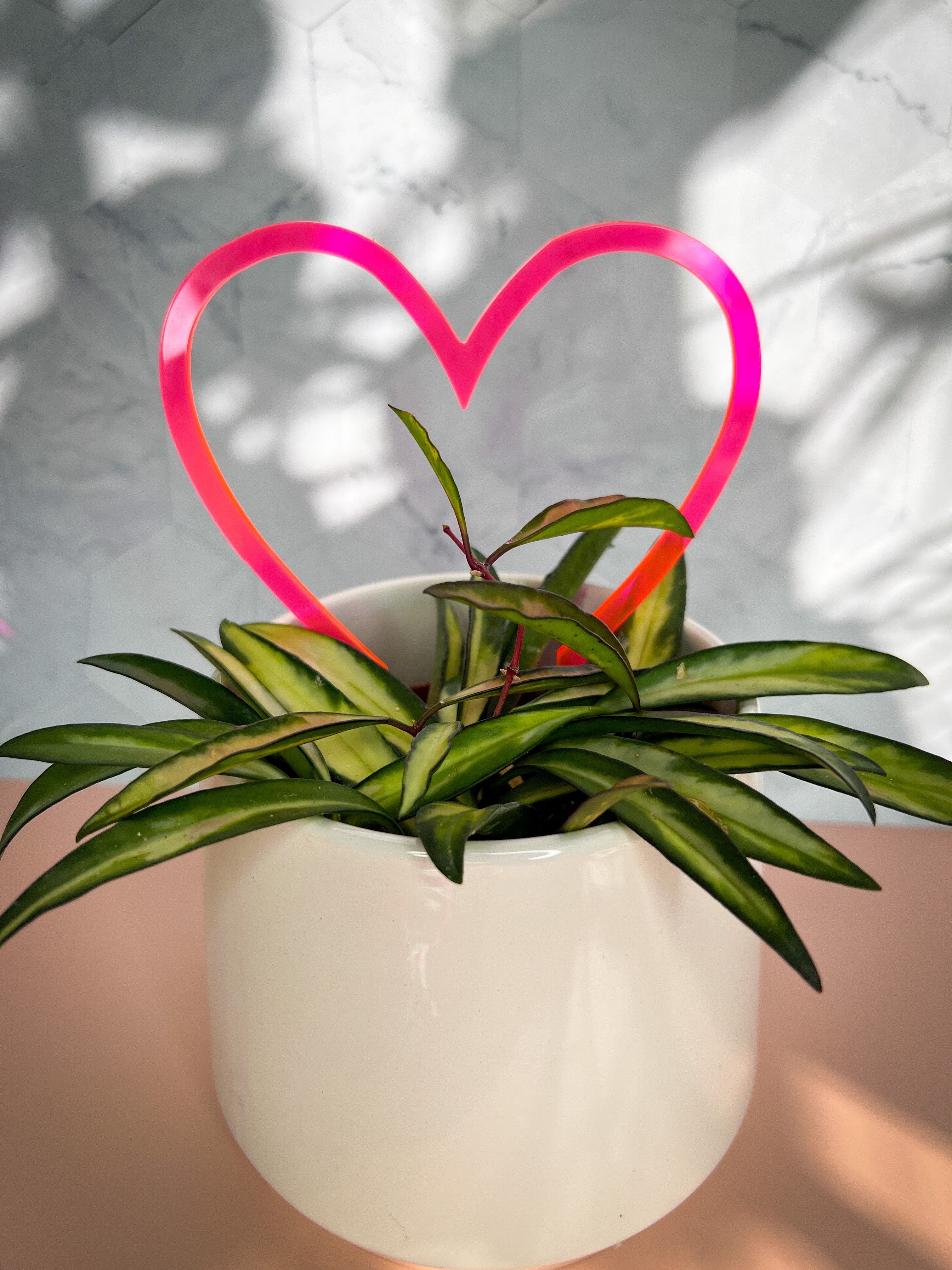 Arka Sweetheart Plant Trellis | Sweetheart Plant Trellis