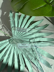 Acrylic Plant Labels