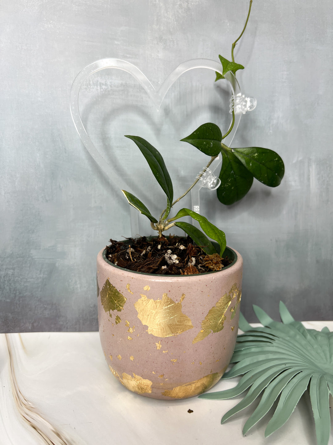 heart shaped plant hanger Arka Sweetheart Plant Trellis | Sweetheart Plant Trellis