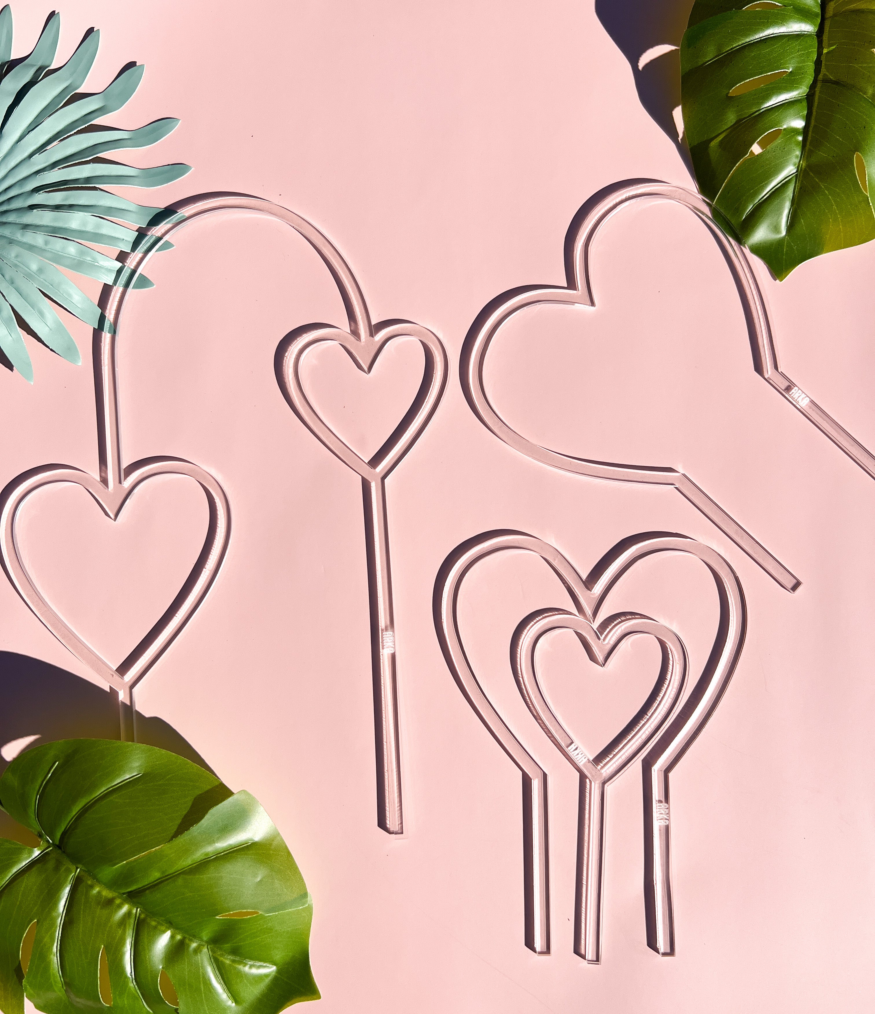 Arka Love Plant Stake | Love Plant Stake | Propagation Diaries