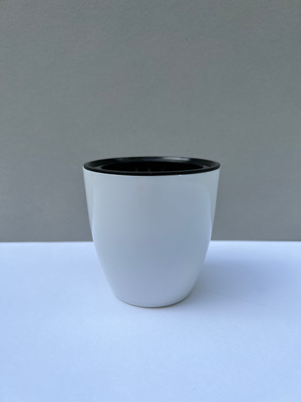 Self-Watering Pots (3.5 inch)