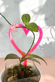 Arka™ Love Mini Plant Stake