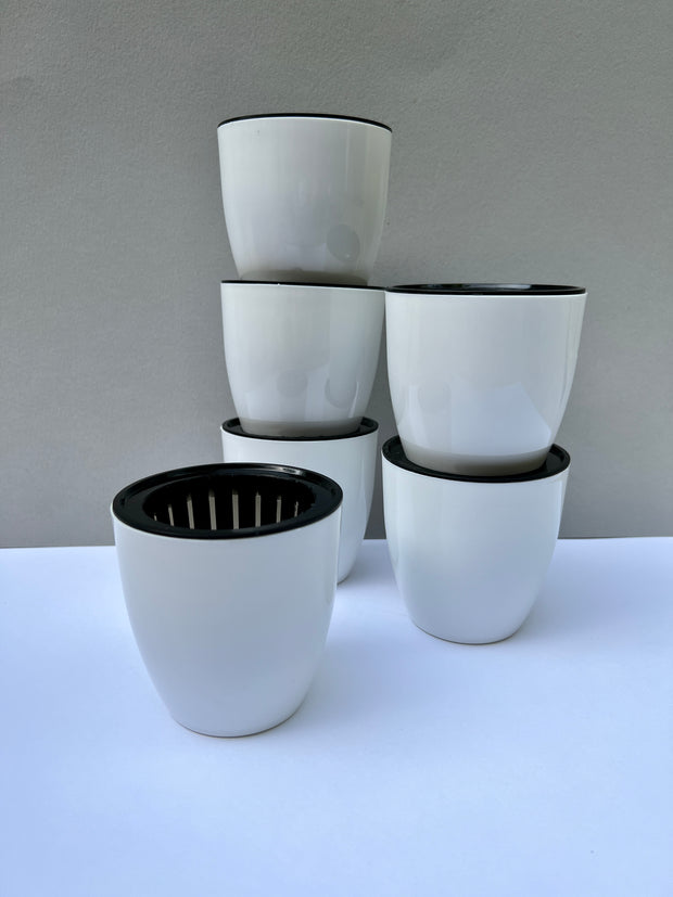 Self-Watering Pots (3.5 inch)